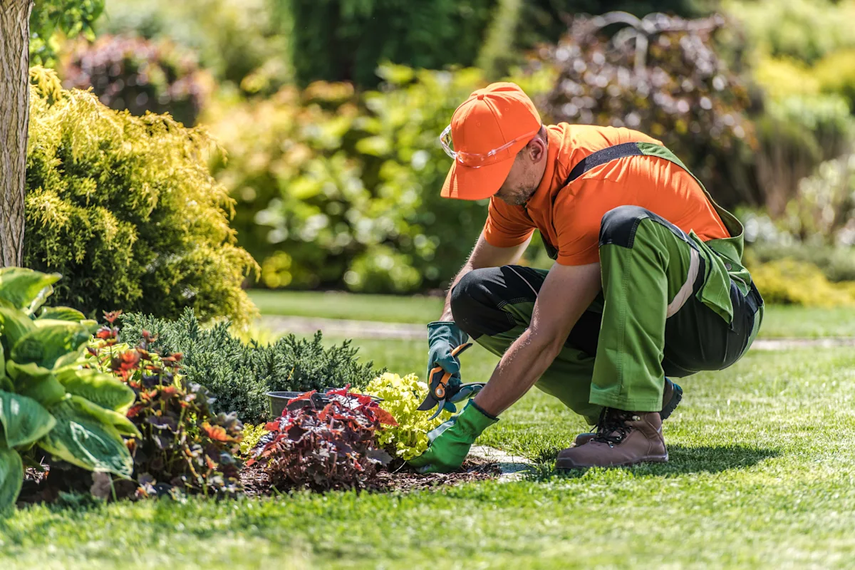 Marketing for Landscapers